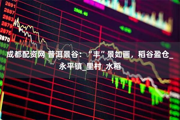 成都配资网 普洱景谷：“丰”景如画，稻谷盈仓_永平镇_里村_水稻