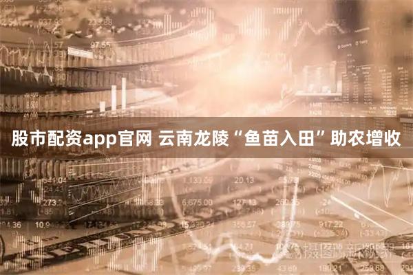 股市配资app官网 云南龙陵“鱼苗入田”助农增收