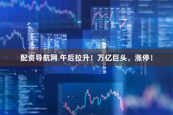 配资导航网 午后拉升！万亿巨头，涨停！